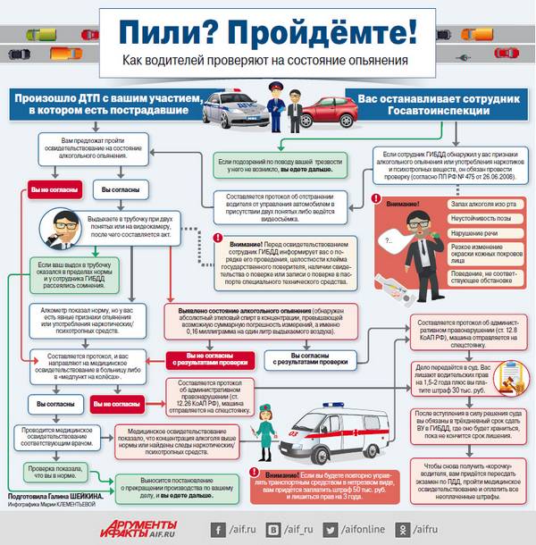 Инфографика: как проверяют водителей на трезвость? - фото